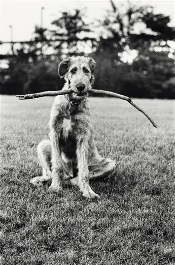 ELLIOTT ERWITT (1928- ) Portfolio titled Elliott Erwitt, The Alchan Edition.